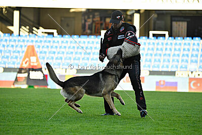 Bandit von Spürsinn