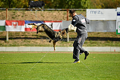 Banu vom Team Nordsturm