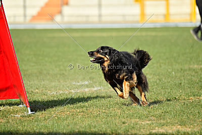 Bara von den Kurpfalzjägern