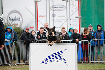 Barack von den Bleicheröder Bergen