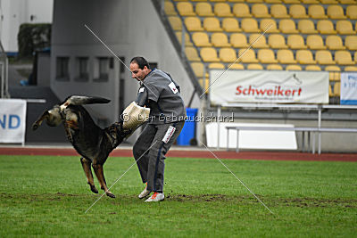 Barack von den Bleicheröder Bergen