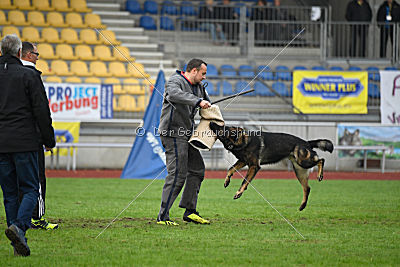 Barack von den Bleicheröder Bergen