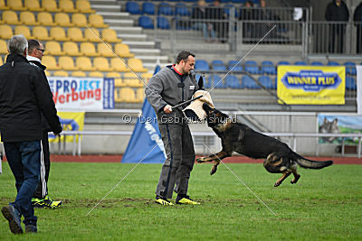 Barack von den Bleicheröder Bergen