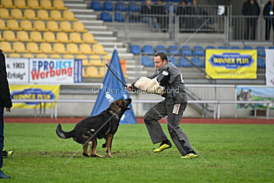 Barack von den Bleicheröder Bergen