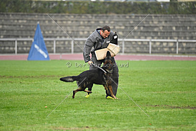 Barack von den Bleicheröder Bergen