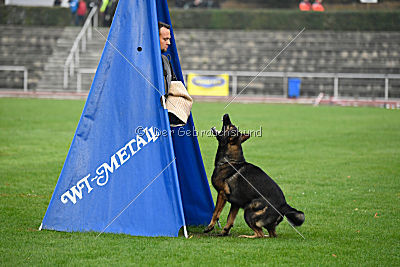 Barack von den Bleicheröder Bergen
