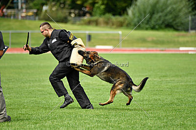 Barack von den Bleicheröder Bergen
