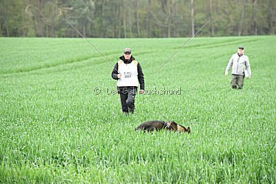 Barack von den Bleichröder Bergen