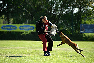 Baron de la frisone liberte