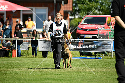 Baron de la frisone liberte