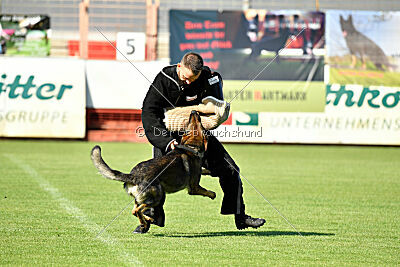 Baron di Piazza Navona