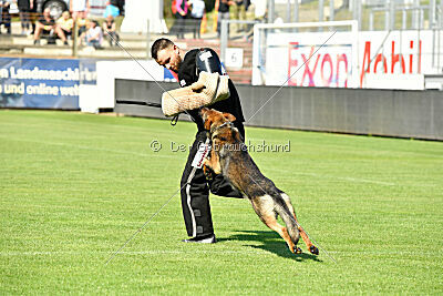 Baron di Piazza Navona