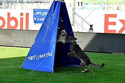 Baron di Piazza Navona