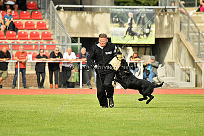 Barrac of Giant Black Hawks