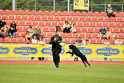 Barrac of Giant Black Hawks