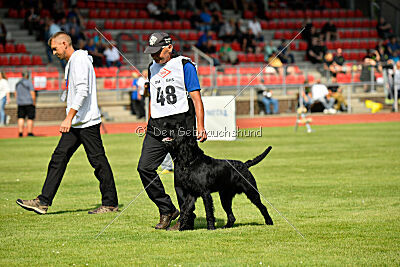 Barrac of Giant Black Hawks