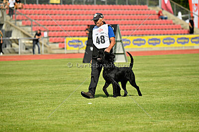 Barrac of Giant Black Hawks