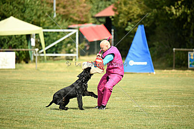 Barracof Giant Black Hawks