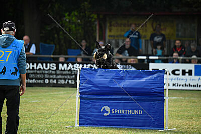 Barracof Giant Black Hawks