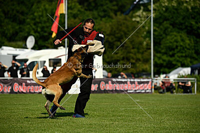 Barry de Fontemordant