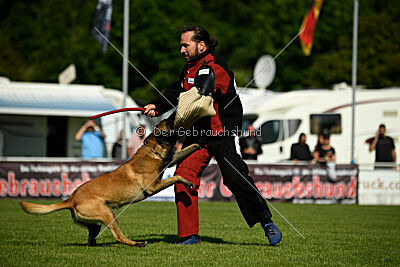 Barry de Fontemordant