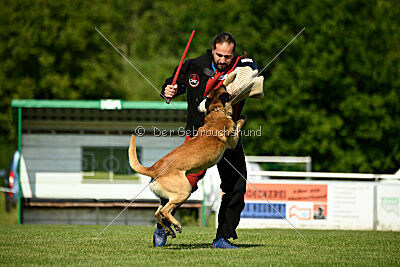 Barry de Fontemordant