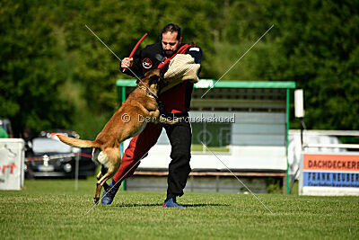Barry de Fontemordant