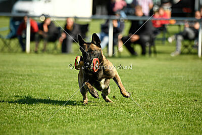 Barry de Fontemordant