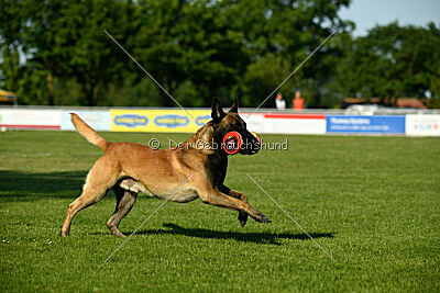 Barry de Fontemordant