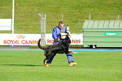 Barry vom Bösen Werner