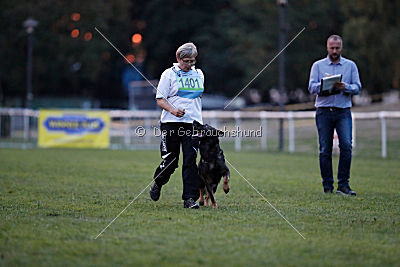 Basko von der Haugshöhe