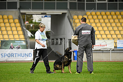 Basko von der Haugshöhe