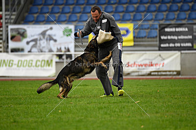 Basko von der Haugshöhe