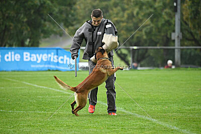 Basko von der Klassikerstadt