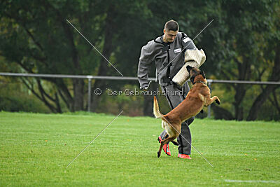 Basko von der Klassikerstadt