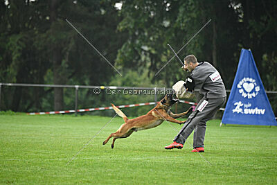 Basko von der Klassikerstadt