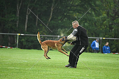 Basko von der Klassikerstadt