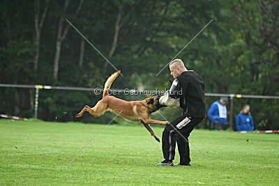 Basko von der Klassikerstadt