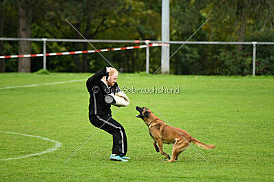 Baxel vom Haus Edental