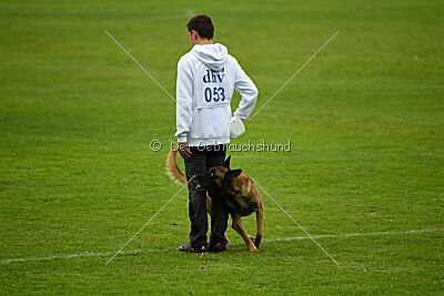 Baxel vom Haus Edental