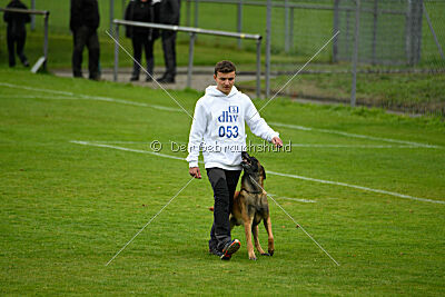 Baxel vom Haus Edental