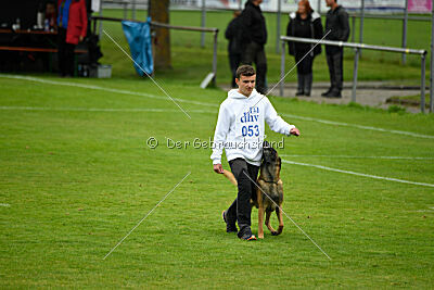 Baxel vom Haus Edental