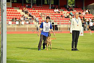 Baxel vom Haus Edental