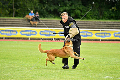 Baxel vom Haus Edental