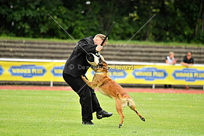 Baxel vom Haus Edental