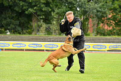 Baxel vom Haus Edental