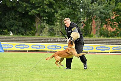 Baxel vom Haus Edental