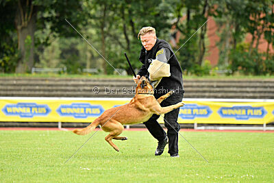 Baxel vom Haus Edental