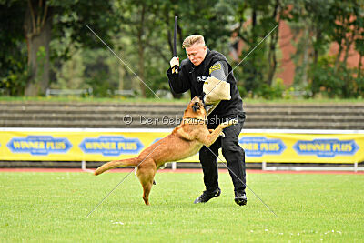 Baxel vom Haus Edental