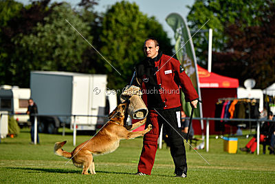 Baxx vom roten Drachen